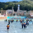 세기파크뷰 | 홍천 오션월드 한산하게 200% 즐기기 ｜ 패키지·구명조끼 무료·액티비티 꿀팁
