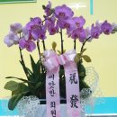 강릉 탑 공인중개사사무소 이미지