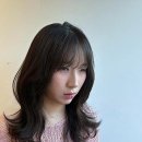 포커스 온 펫 | 머릿결부터 기분까지, 파스텔톤으로 물든 나만의 안식처 명동미용실 추천!