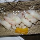 바다회초밥 이미지