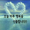 별빛 같은 나의 사랑아 - 강창훈 / 가수 이라희 & 기타 임정수 이미지