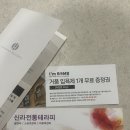 모던그레이호텔 | 경주 숙소 추천｜한화리조트 경주 담톤 디럭스 모던 호텔형 리모델링 후기