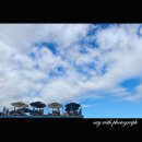 나무그늘 밑의 휴식 이미지