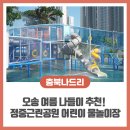 나들이어린이공원 | 오송 여름 나들이 추천! 정중근린공원 어린이 물놀이장 꿀잼 후기