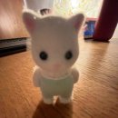 ʕ•ᴥ•ʔ
