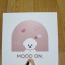 무드온펫