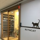 힐링캣 | 시흥 아이랑 가볼만한 곳 | 시흥 부타캣 시흥점 고양이카페 두돌아기랑 다녀온 후기 ⋆⁺₊⋆ 🐈‍⬛