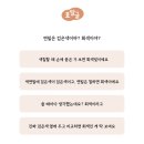 표현하는말글연구소