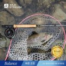 와일드피싱 이미지