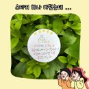 스티커 제작 후기 | 오프린트미 홍보스티커 추천