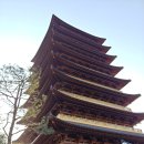 경주 미용실 1인샵 단골 예정