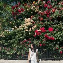 지에스25 연남공원점 이미지