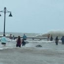 이언농장 이미지