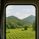 (주)보성산업 | &#34;목포-보성 열차 개통: 전남 여행의 혁명! 서해안~남해안 1시간대로 즐기는 법&#34;