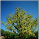 BBC 당구장 이미지