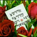 희망의아침 이미지