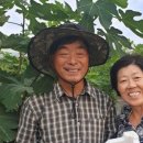 홍집농장 이미지