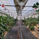 태규농장 이미지