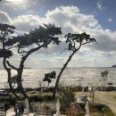 마시랑 | [인천 영종도] 영종도 오션뷰카페 애견동반 마시랑카페 후기 • 주차