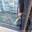 가오약품 이미지