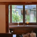 들꽃약국 | 대구 동인동 수국 명소 포토 정원 카페, 서로의달