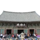 블루문 유스텔 이미지