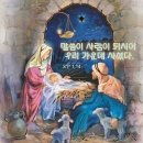 ⛪️ 주님 성탄 대축일 이미지