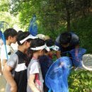 반딧불이 생태학교 이미지