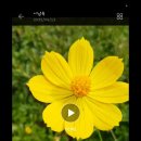 제4강 - 동영상으로 GIF 파일 만들기(04월 15일) 이미지