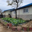 선산촌집 이미지