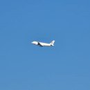 광판팔뚝김밥 이미지