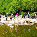 양평종합운동장(주경기장) 이미지