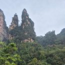 동인당중국한의원 이미지