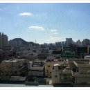 한성기린 이미지