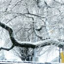 함평향교 이미지