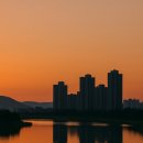 꿈틀로거리 | 행정수도 심장, 세종시 집값의 꿈틀거림(4월말 기준)