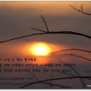 상록중학교