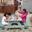 규린도 목장3 이미지