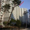 목동남로 네이버블로그