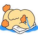 쌍암공원 농구장