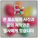 교토 기요미즈데라(청수사)-주차,입장료,반려동물,인생샷 포토존,방문후기