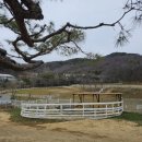 송산목장 이미지