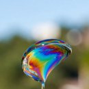 꿈꾸는아이들유치원 | 손성은, 이제는 멈춰야 할 대치동 후기