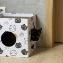 이층집고양이 | 다이소 고양이 스크래쳐 종류 &amp; 우리집 고양이 최애 이층집 🐱 스크래쳐 하우스