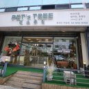 로이펫살롱 | [강남애견미용] 토이실버푸들 배넷미용부터 놀이방이용 페스츄리펫살롱 화이트역삼점 솔직후기 (내돈내산)