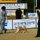 E&B인터내셔널 Daum카페