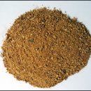 돼지우리 이미지