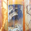 장수네집 이미지