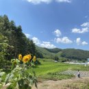 비행장카공업사 이미지