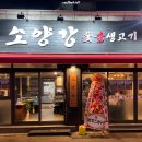 고향뒷통구이 | 하단 소양강숯불생고기 동아대 맛집 갈매기살 육즙 대박